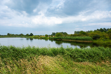 Green meadows and natural water pond at the Brondby park, Copenhagen, Denmark