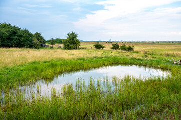 Naturel water pond and green meadows at the Amager naturecenter, Denmark