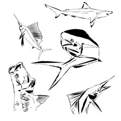 A pattern of ocean game fish, tarpon, sailfish, shark and dolphin fish