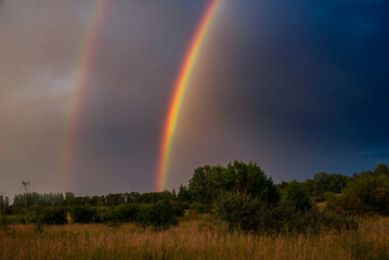 Dramatic rainbow over a meadow