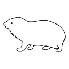 Rock Hyrax Side View Outline
