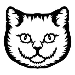 Russian Blue Cat Face