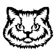 Selkirk Rex Cat  Face