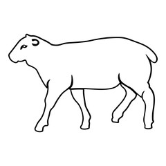 Sheep  Side View Outline
