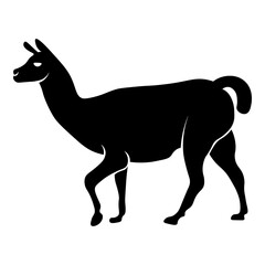 Side View of Llama
