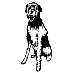 Sitting Deerhound