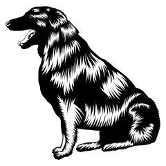 Sitting Estrela Mountain Dog