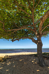 paisagem natural na cidade de Aracruz, Estado do Espírito Santo, Brasil