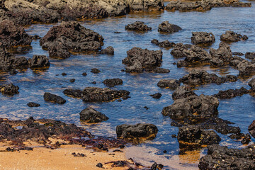 paisagem natural na cidade de Aracruz, Estado do Espírito Santo, Brasil