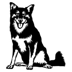 Sitting Icelandic Sheepdog