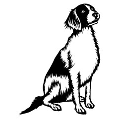 Sitting Irish Red and White Setter