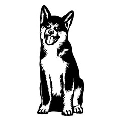 Sitting Japanese Akita Inu