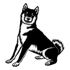 Sitting Japanese Shiba Inu