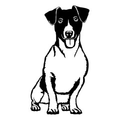 Sitting Jack Russell Terrier