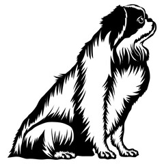 Sitting Japanese Chin