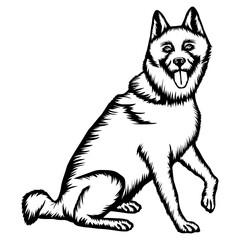Sitting Jindo