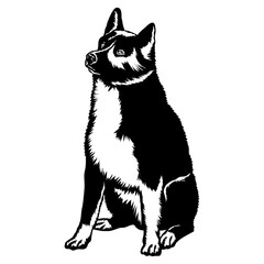 Sitting Karelian Bear Dog