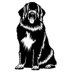 Sitting Newfoundland