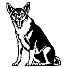 Sitting Norwegian Lundehund