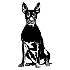 Sitting Peruvian Inca Orchid