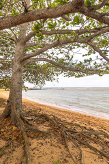 praia na cidade de Aracruz, Estado do Espírito Santo, Brasil