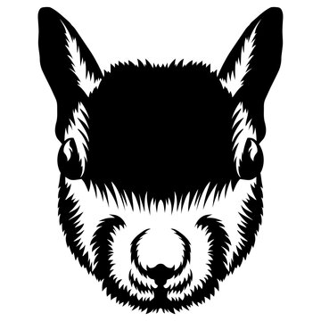 Squirrel Face