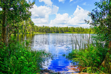 Tampa, FL, USA: 09 01 2024: The landscape of lake park in Tampa, Florida