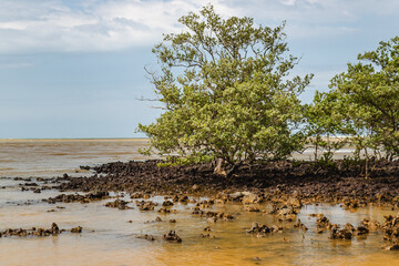 praia na cidade de Aracruz, Estado do Espírito Santo, Brasil
