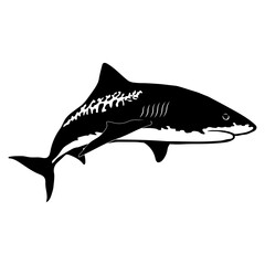 Tiger Shark