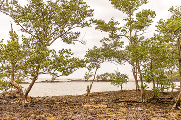 praia na cidade de Aracruz, Estado do Espírito Santo, Brasil