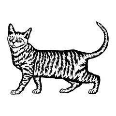 Toyger