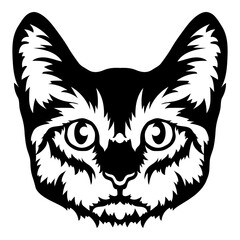 Fototapeta premium Toyger Face