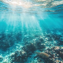 Underwater Coral Reef with Sunbeams and Blue Water