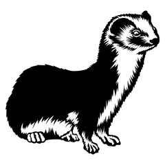 Weasel