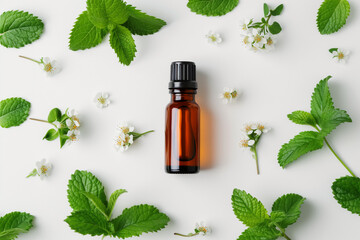 Green liquid in bottle with mint and flower essence a fine herb solution