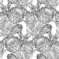 Black and white seamless pattern with line art protea flowers. Monochrome tropical floral background.