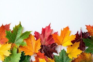 Autumn Maple Leaves Flat Lay White Background created with Generative AI