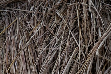 Yellow dry straw background