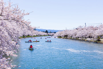 日本さくら名所100選　青森県弘前市　弘前公園の桜