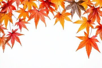 Autumn Maple Leaves Flat Lay White Background created with Generative AI