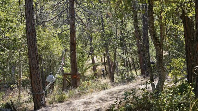 Tree Felling Cutting and Falling