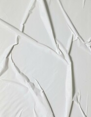 Paper Texture Glued Poster Overlay