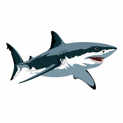Fototapeta premium A sleek great white shark patrolling the deep sea, Realistic illustration, contour, isolated in white background