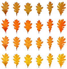 Collection of autumn oak leaves in various shades of orange and yellow arranged in rows. Vector illustration.