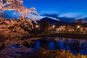 日本さくら名所100選　青森　弘前公園　夜桜ライトアップ