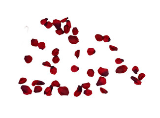 Rose Petals Png, falling rose petals , red petals isolated on white tansparent background.png