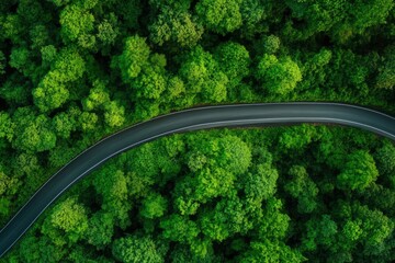 Aerial top view road in forest with car motion blur. Winding road through the forest. Car drive on the road between green forest. Ecosystem ecology healthy environment road trip , ai