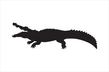 tyrannosaurus rex dinosaur illustration