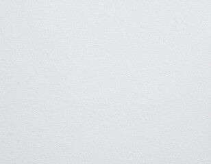 Fototapeta premium White Paper Texture