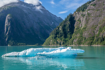 Tracy Arm with Iceberg